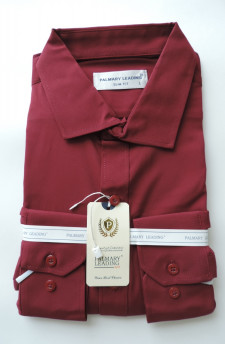 Рубашка мужская д-рукав PALMARY LEADING, арт.TL-245-2 р. S-3XL Рубашка мужская д-рукав PALMARY LEADING, арт.TL-245-2 р. S-3XL