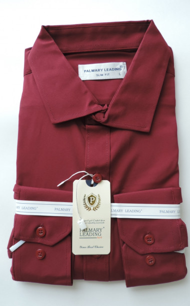Рубашка мужская д-рукав PALMARY LEADING, арт.TL-245-2 р. S-3XL - 1 Рубашка мужская д-рукав PALMARY LEADING, арт.TL-245-2 р. S-3XL - 1